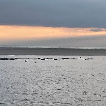 Gite Chti Picard Parking Prive Gratuit Et 100M De La Plage Berck Esterno foto